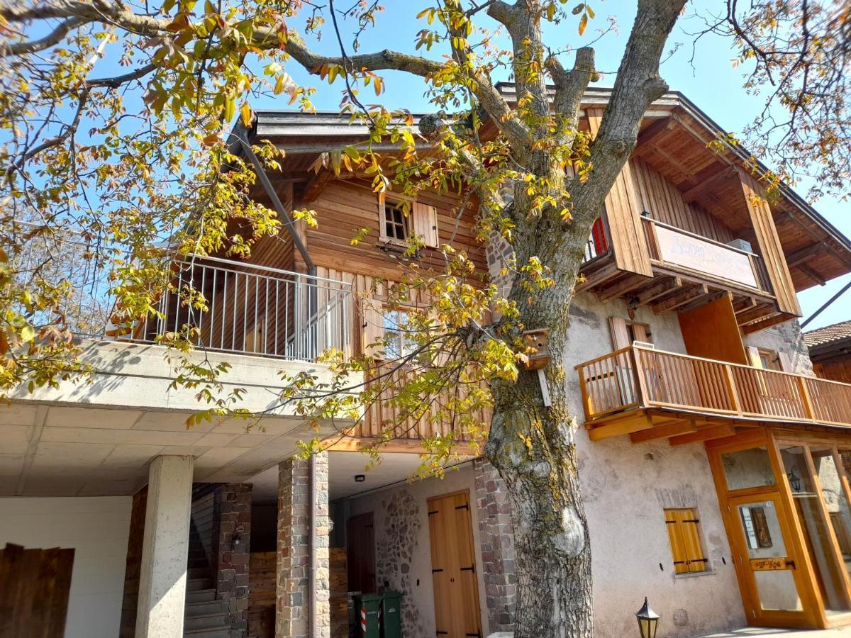 B&B Chalet Dolomiti Sant'Orsola ภายนอก รูปภาพ