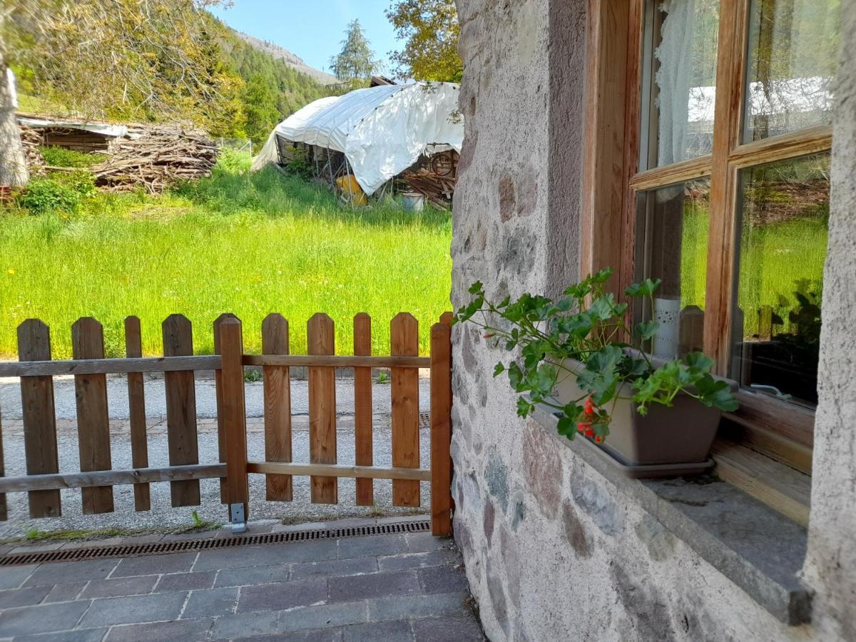 B&B Chalet Dolomiti Sant'Orsola ภายนอก รูปภาพ