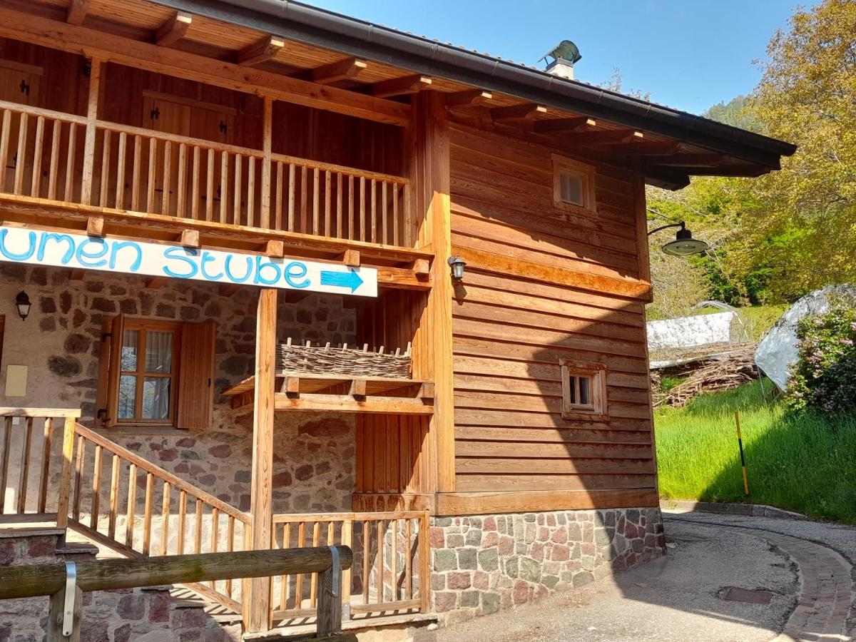 B&B Chalet Dolomiti Sant'Orsola ภายนอก รูปภาพ