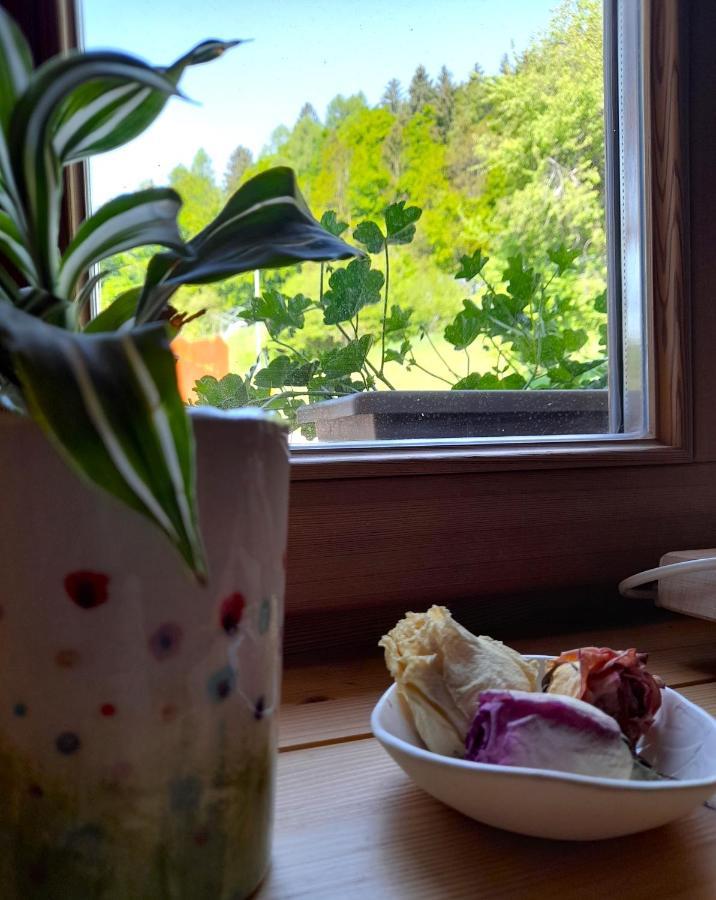 B&B Chalet Dolomiti Sant'Orsola ภายนอก รูปภาพ