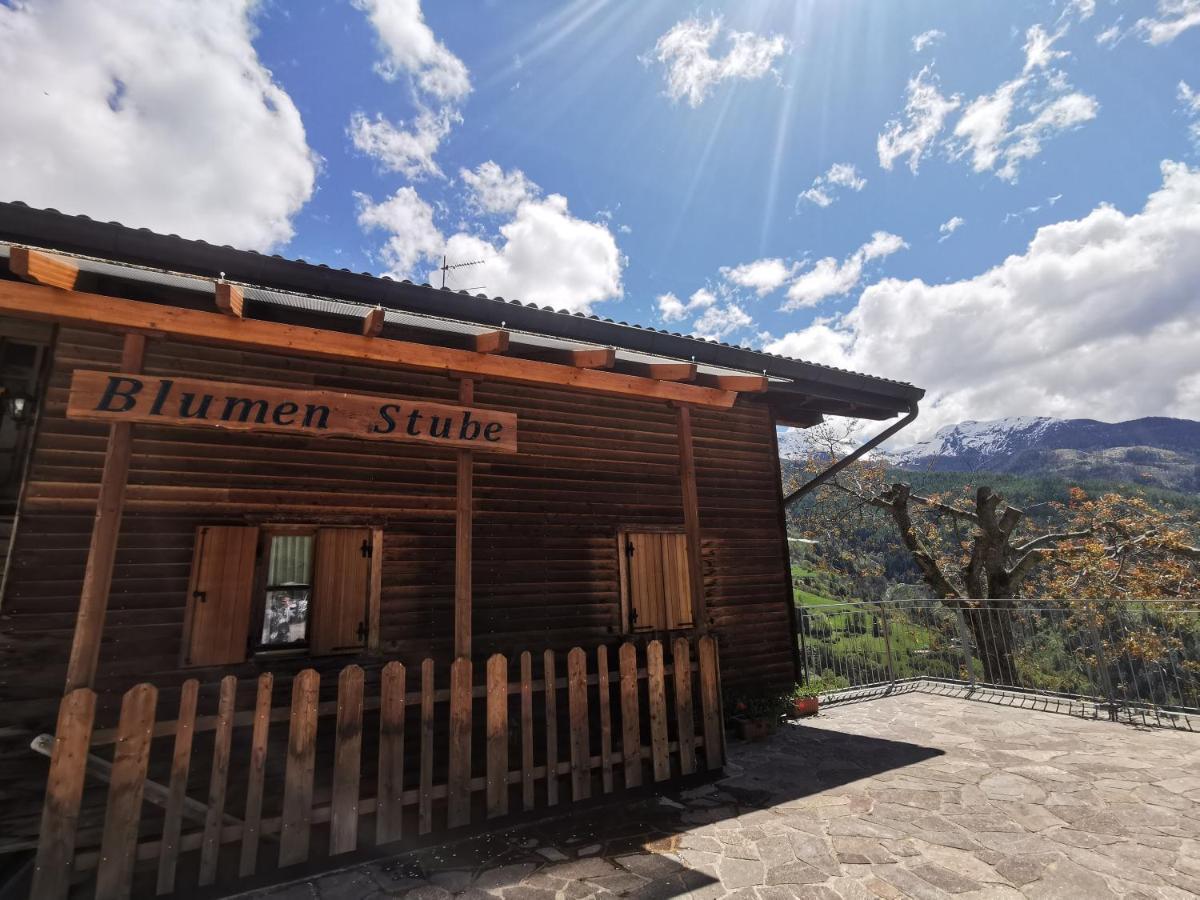 B&B Chalet Dolomiti Sant'Orsola ภายนอก รูปภาพ