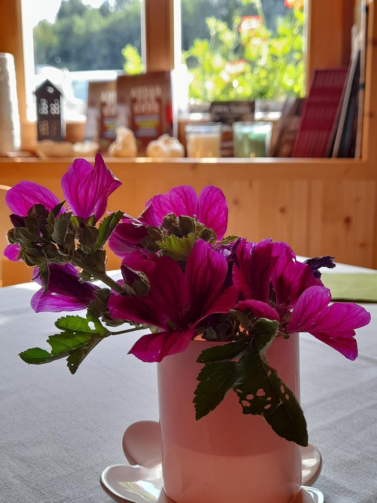 B&B Chalet Dolomiti Sant'Orsola ภายนอก รูปภาพ